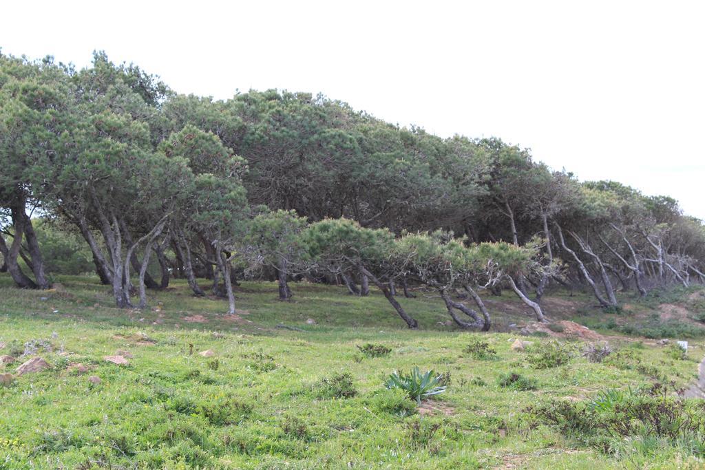 Villa Boa Vista Sul - Terra Da Eira - Raposeira فيلا دو بيسبو المظهر الخارجي الصورة